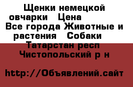 Щенки немецкой овчарки › Цена ­ 30 000 - Все города Животные и растения » Собаки   . Татарстан респ.,Чистопольский р-н